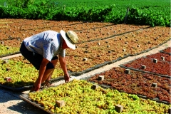 Natuur, omgeving, tradities en meer