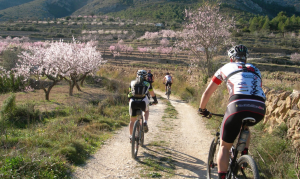 Mountainbikers voelen zich thuis in Jalon Vallei aan de Costa Blanca