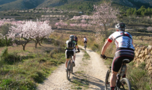 Also MTB - Mountainbikers feel at home at the Costa Blanca Jalon Valley